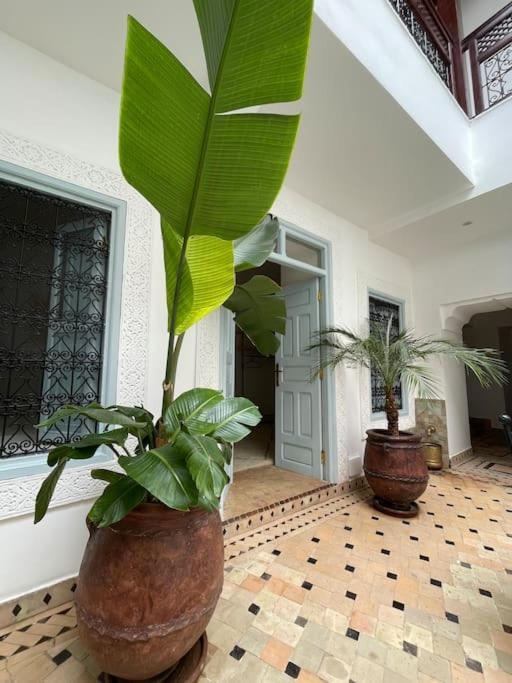 Riad Vivre - Design Boutique Riad In Marrakech Marrakesh Exterior photo